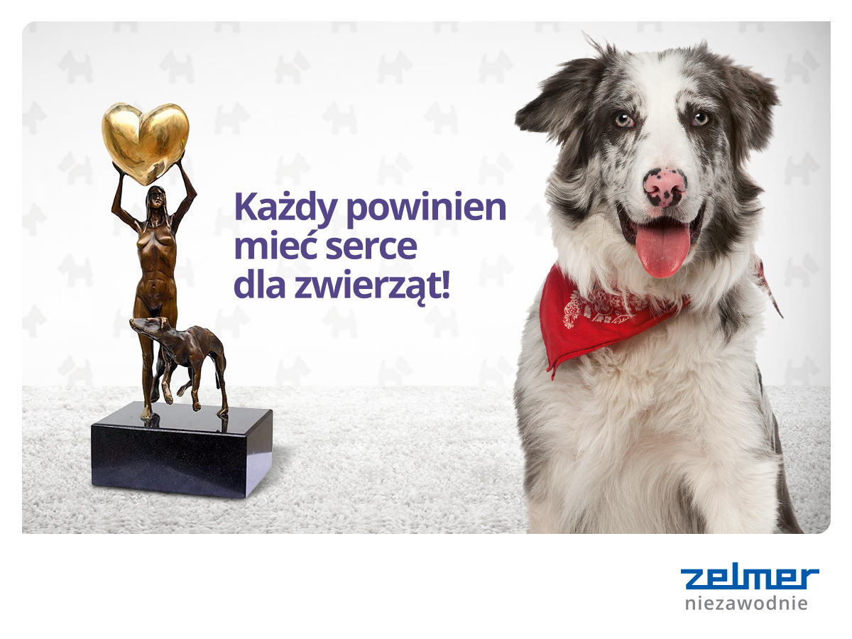 Zelmer partnerem plebiscytu Serce dla Zwierząt